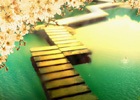 ARM平台（树莓派）中下载安装